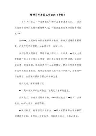 精神文明建设工作综述（市级）