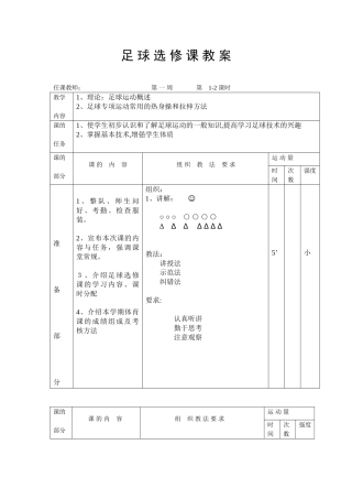 2024年小学足球全套教案