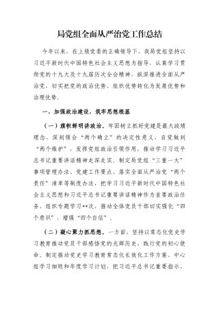 局党组全面从严治党工作总结