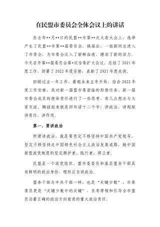 在民盟市委员会全体会议上的讲话
