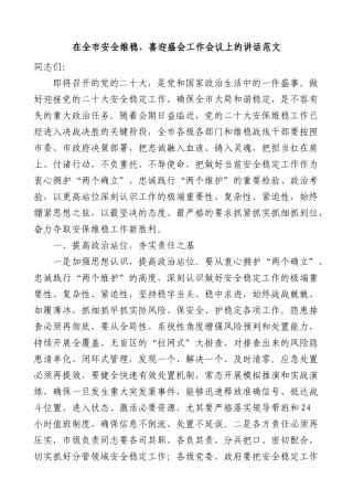 在全市安全维稳喜迎盛会工作会议上的讲话范文(二十大)