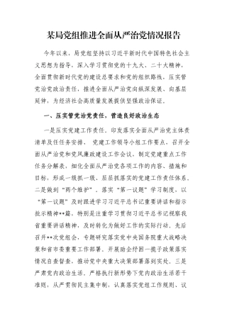 某局党组推进全面从严治党情况报告