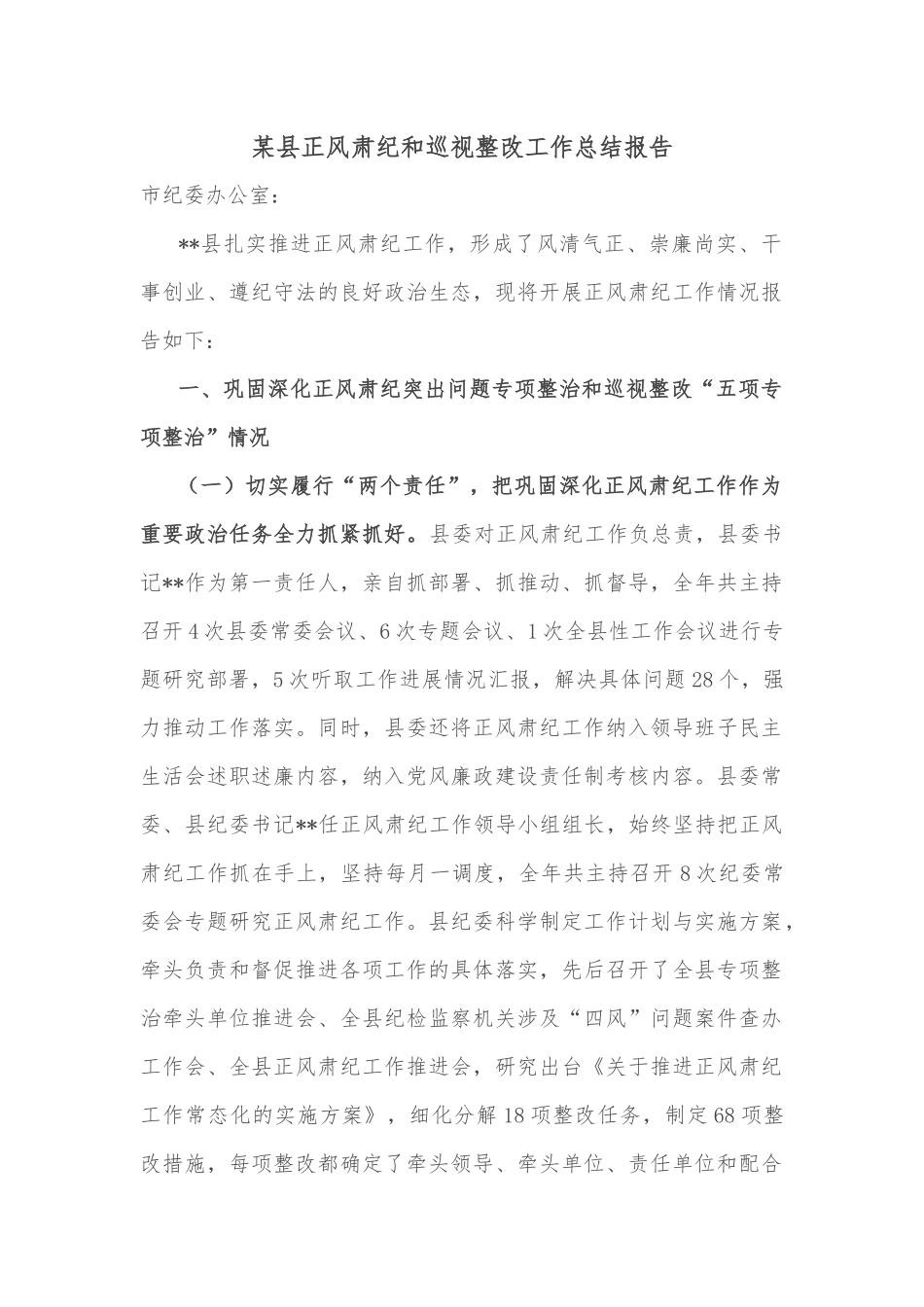 某县正风肃纪和巡视整改工作总结报告_第1页