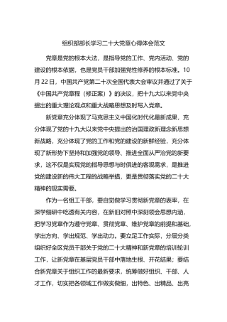组织部部长学习二十大党章心得体会范文