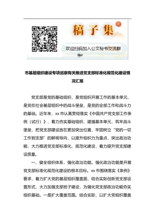 市基层组织建设专项巡察有关推进党支部标准化规范化建设情况汇报