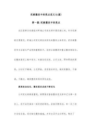 (4篇)巡察整改中的亮点范文