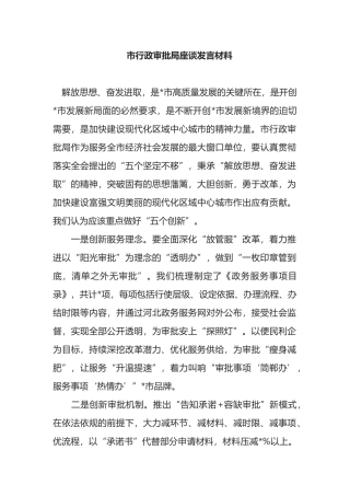 市行政审批局座谈发言材料