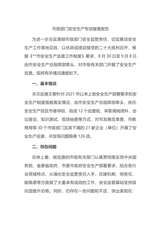 市级部门安全生产专项督查报告