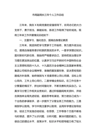 市局副局长三年个人工作总结