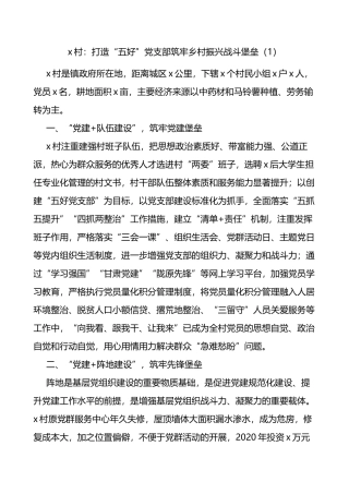 村级五好党支部事迹材料5篇村党支部创建工作经验