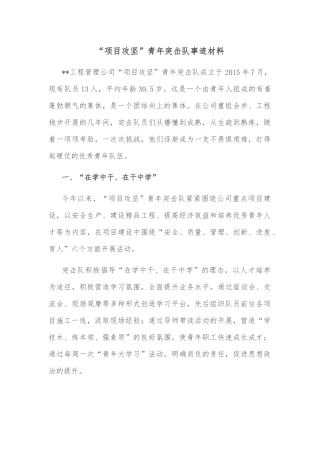 “项目攻坚”青年突击队事迹材料