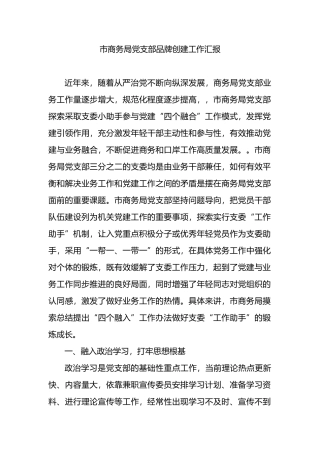 市商务局党支部品牌创建工作汇报