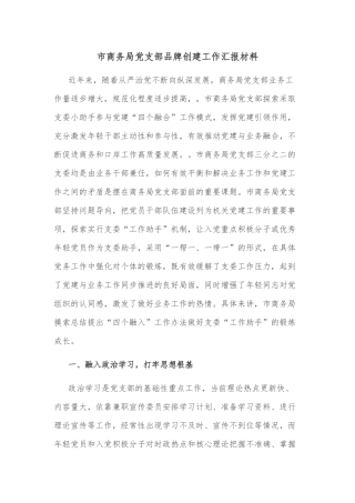 市商务局党支部品牌创建工作汇报材料