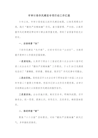 市审计局作风建设专项行动工作汇报