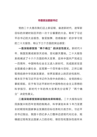 市委政法委学习党的二十大精神心得体会摘编3篇