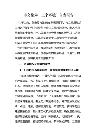 市文旅局“三个环境”自查报告