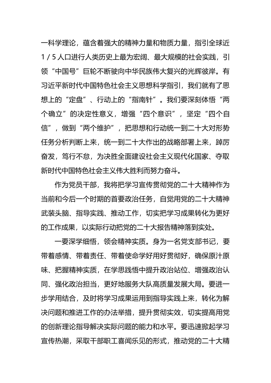 党支部书记学习党的二十大报告精神交流座谈会发言_第3页