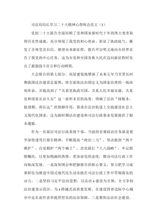 司法局局长学习二十大精神心得体会6篇