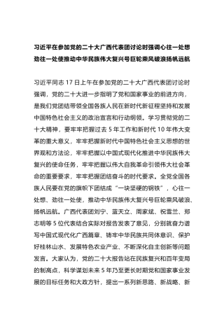 二十大报告学习体会（31省代表团新闻稿）