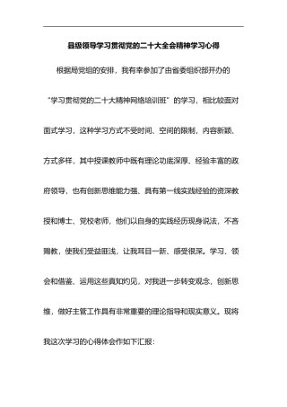 县级领导学习贯彻党的二十大全会精神学习心得体会