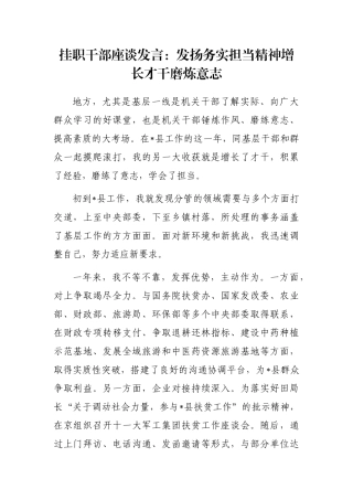 挂职干部座谈发言：发扬务实担当精神增长才干磨炼意志