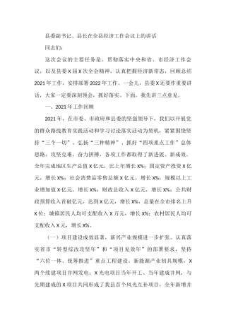 县委副书记、县长在全县经济工作会议上的讲话