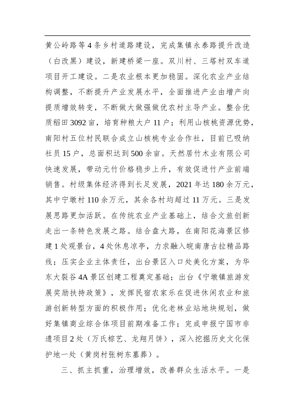 2022年宁墩镇政府工作报告_第3页