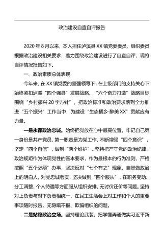 2022政治建设自查自评报告