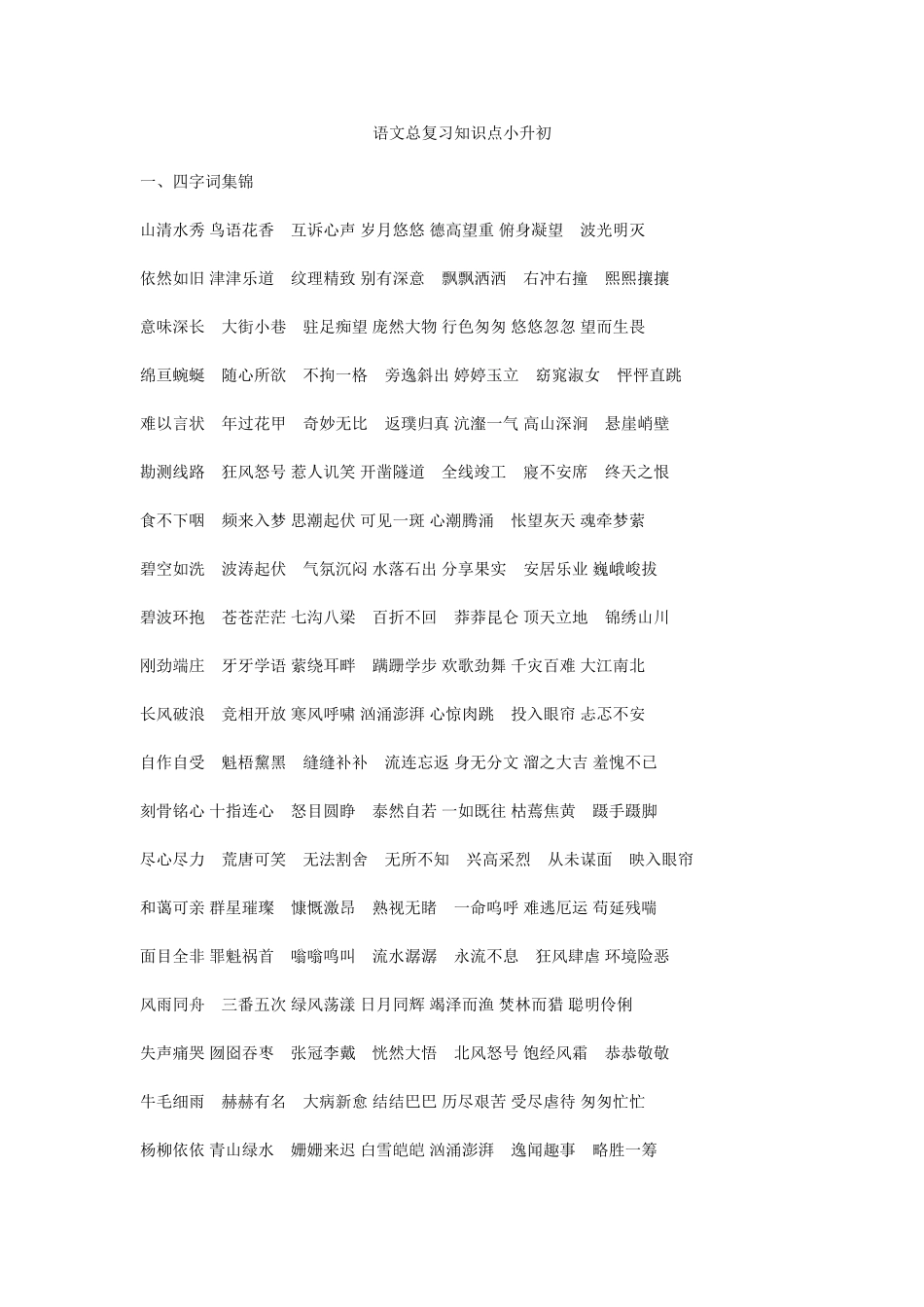 2024年语文总复习知识点小升初_第1页
