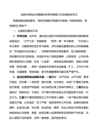法院纪律突出问题整治和审务督察工作自查报告