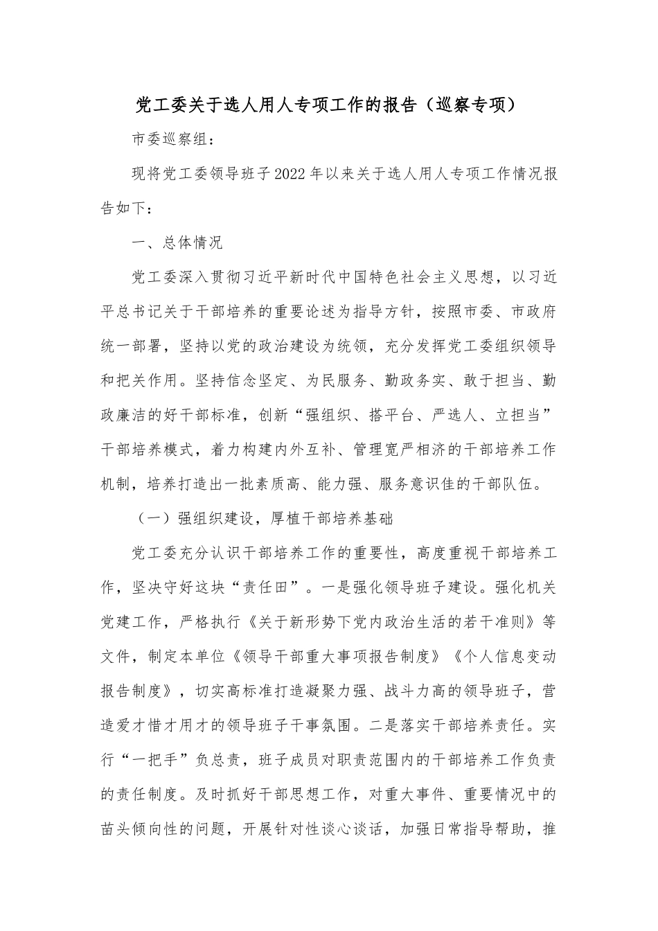 党工委关于选人用人专项工作的报告（巡察专项）_第1页
