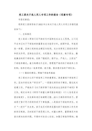 党工委关于选人用人专项工作的报告（巡察专项）