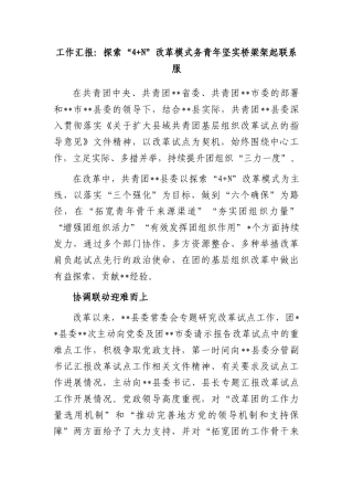 工作汇报：探索“4 N”改革模式务青年坚实桥梁架起联系服