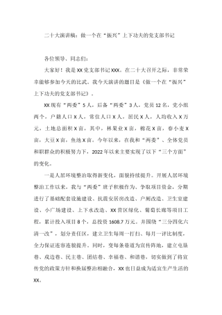 二十大演讲稿：做一个在“振兴”上下功夫的党支部书记