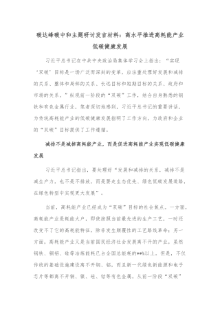 碳达峰碳中和主题研讨发言材料：高水平推进高耗能产业低碳健康发展