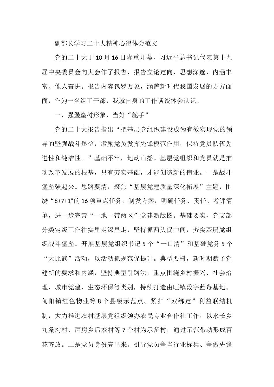 副部长学习二十大精神心得体会范文_第1页