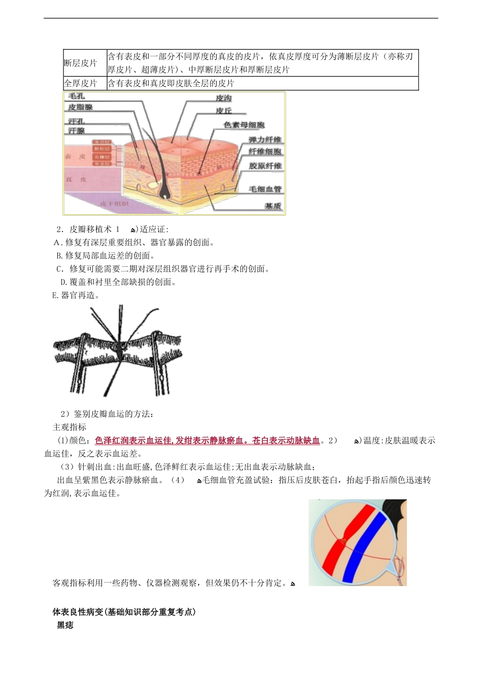 2024年整形外科考点总结_第2页