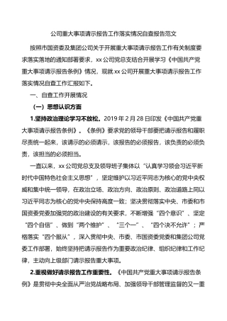 公司重大事项请示报告工作落实情况自查报告