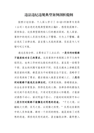 违法违纪违规典型案例剖析提纲
