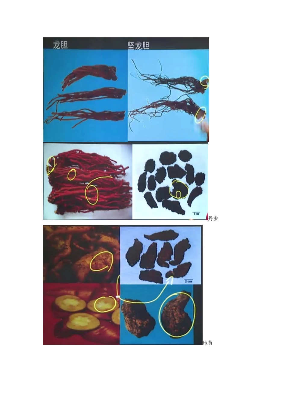 2024年执业药师药一中药药材图片_第2页
