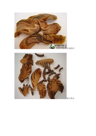 2024年执业药师药一中药药材图片