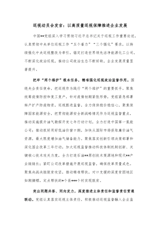 巡视动员会发言：以高质量巡视保障推进企业发展