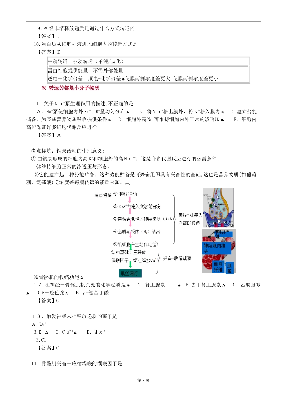 2024年执业医师考试重点生理学_第3页