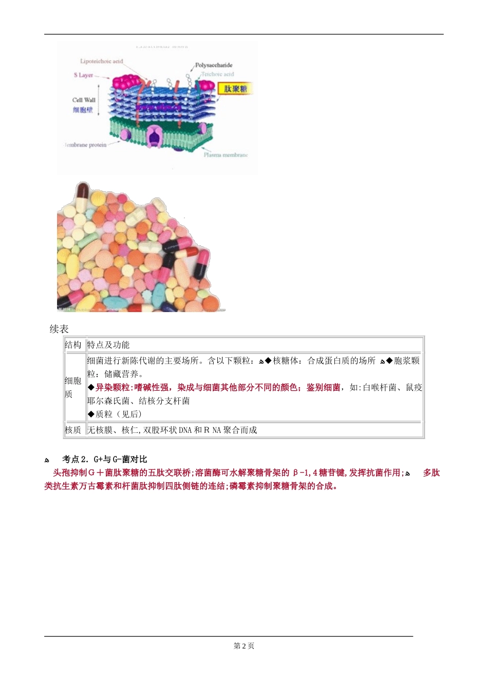 2024年执业医师考试重点医学微生物学_第2页