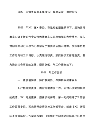 2022年镇乡政府工作报告：踔厉奋发 勇毅前行