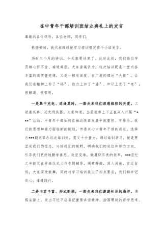 在中青年干部培训班结业典礼上的发言
