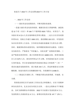 街道关于2022年工作总结暨2023年工作计划