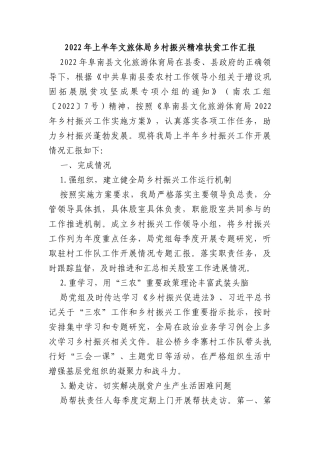 2022年上半年文旅体局乡村振兴精准扶贫工作汇报