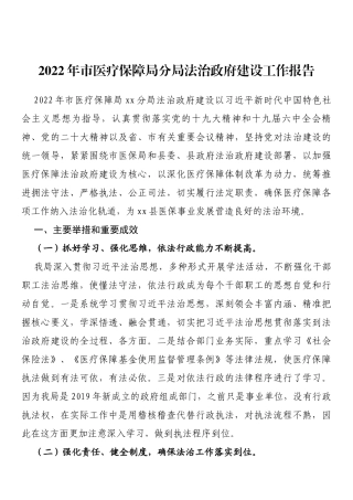 2022年市医疗保障局分局法治政府建设工作报告