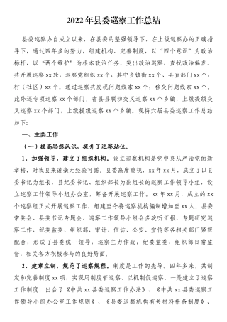 2022年县委巡察工作总结